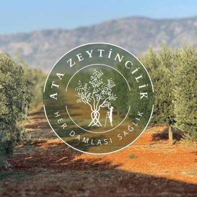Ata Zeytincilik
