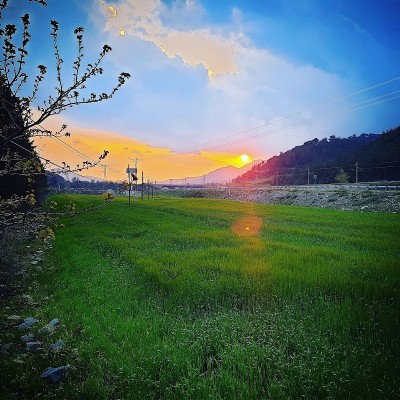 Barit Maden Türk Aş