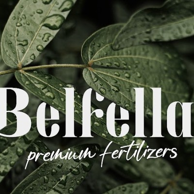 Belfellas