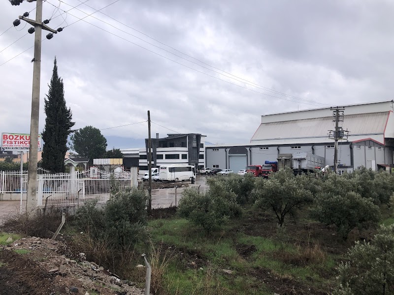 Bozkurt Fıstıkçılık San.tic.ltd.şti