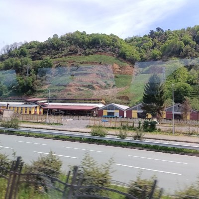 Çaykur Fındıklı Çay Fabrikasi