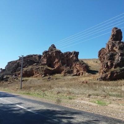 Eskişehir Solucan Gubresi Solverim