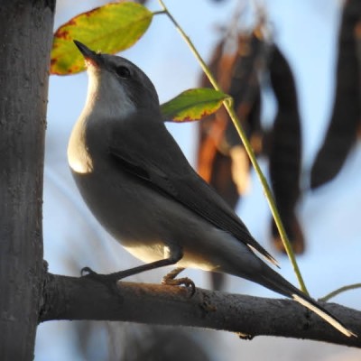 Fatih Kalem Fabrikasi