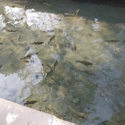 Gaziantep Şehitkamil Yangın Kapısı Fiyatları Güncel