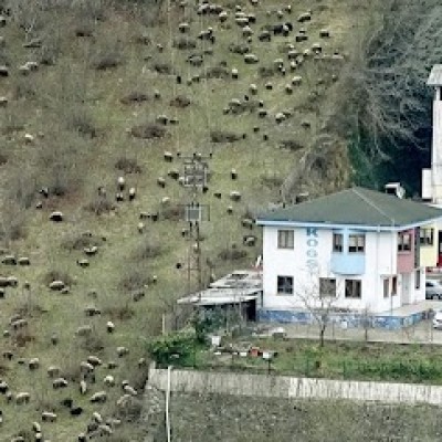 Karadeniz Oksijen Gaz San.tic.ltd.şti