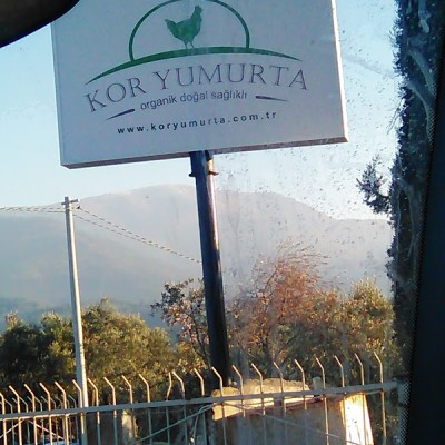 Kor Agro Organik Gıda A.ş.