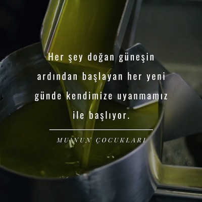 Mubafa Zeytin Çiftliği