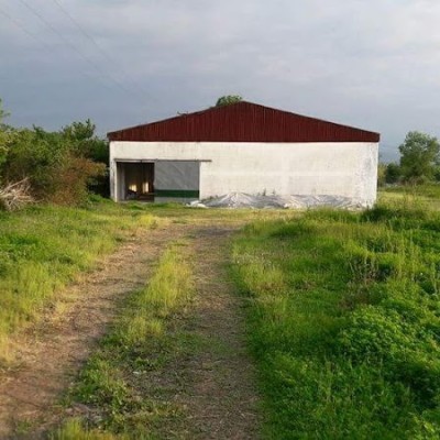 Organik Fabrika Solucan Gübresi Üretim Çiftliği