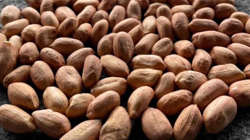 Osmanıye Sultan Fistikcilik Ltd.sti