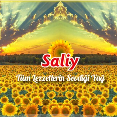 Saliy Ayçiçek Yağları