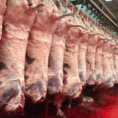 Şereflikoçhisar Yem Sanayii A.ş.