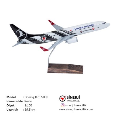 Sinerji Havacılık A.ş.