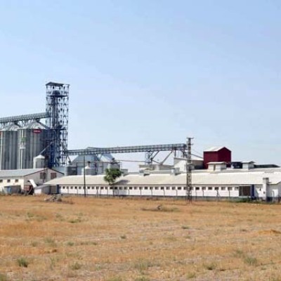 Tekeli Yumurta -akyum Gıda Tar.hayv.ltd.şti.