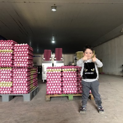 Ultrayum Yumurta Üretim Çiftliği