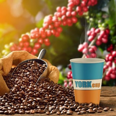 York Cup Karton Bardak Fabrikası