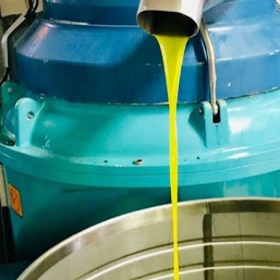 Zenginoğlu Zeytinyağı İşletmesi